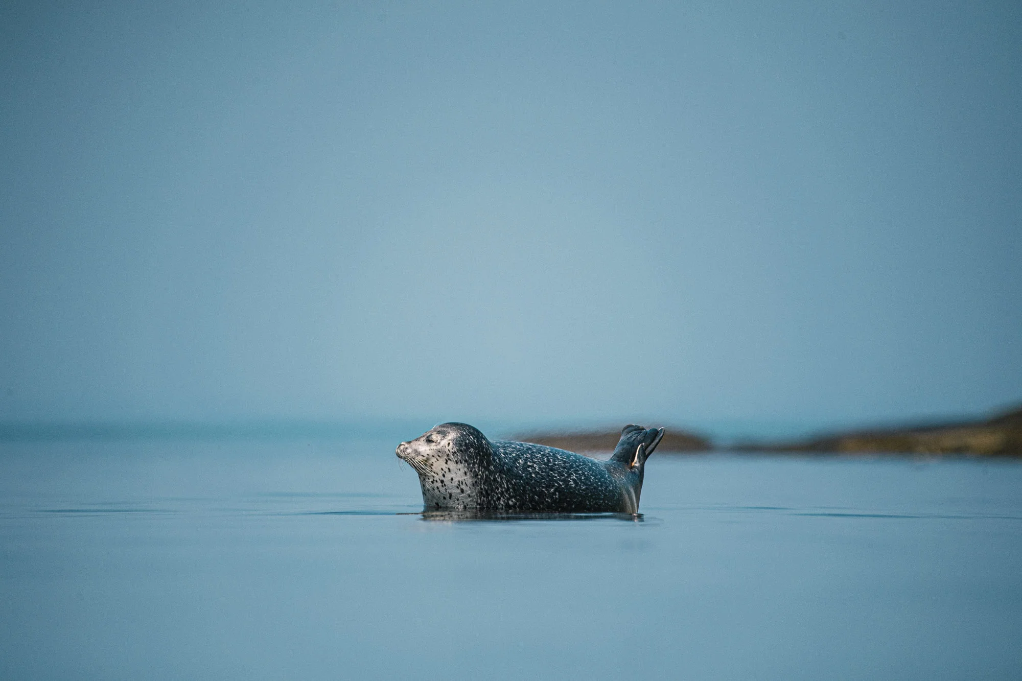 Живое море